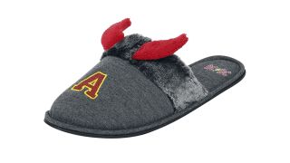 AC/DC slipper