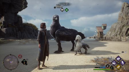 Hogwarts Legacy hippogriff vivarium