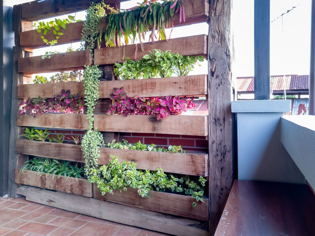 Vertical Wood Garden Full Of Plants And Vines