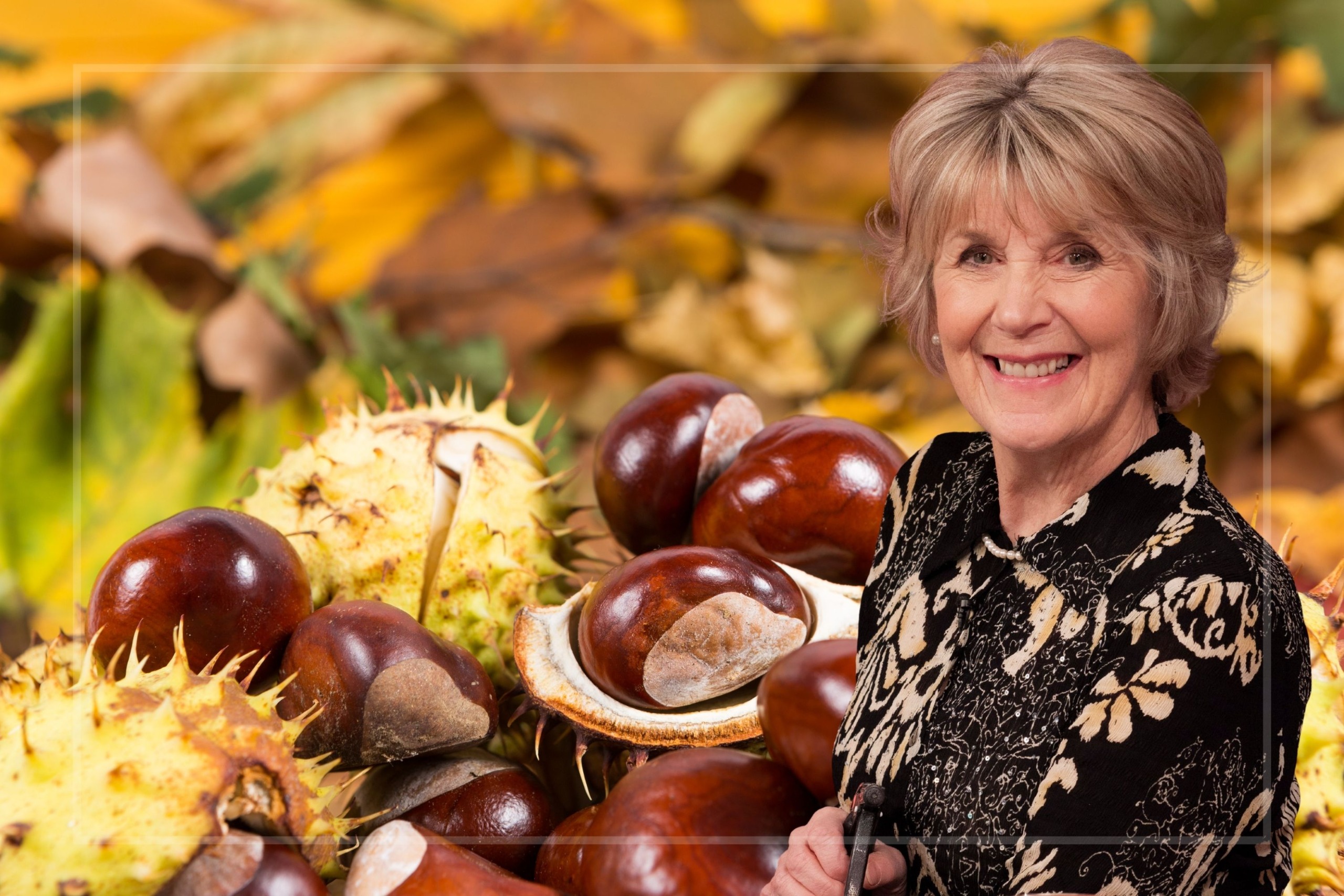 A comp image of fallen conkers and autumn leaves with an insert of Nancy Birtwhistle (R)