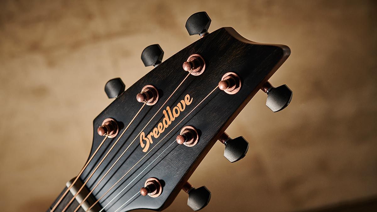 Breedlove ECO Pursuit EX S Concert Sweetgrass