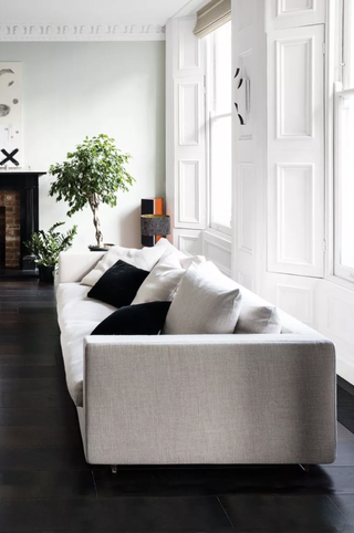White living room with shutter and house plant