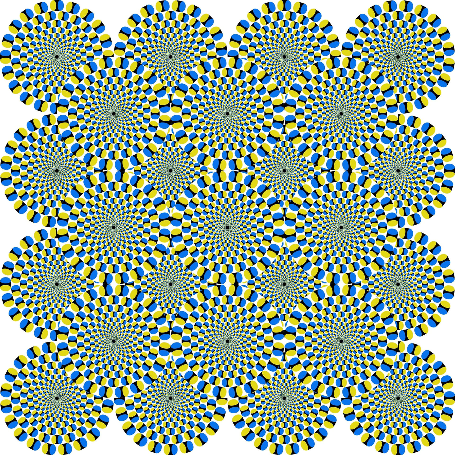 Optical illusions: Spinning discs