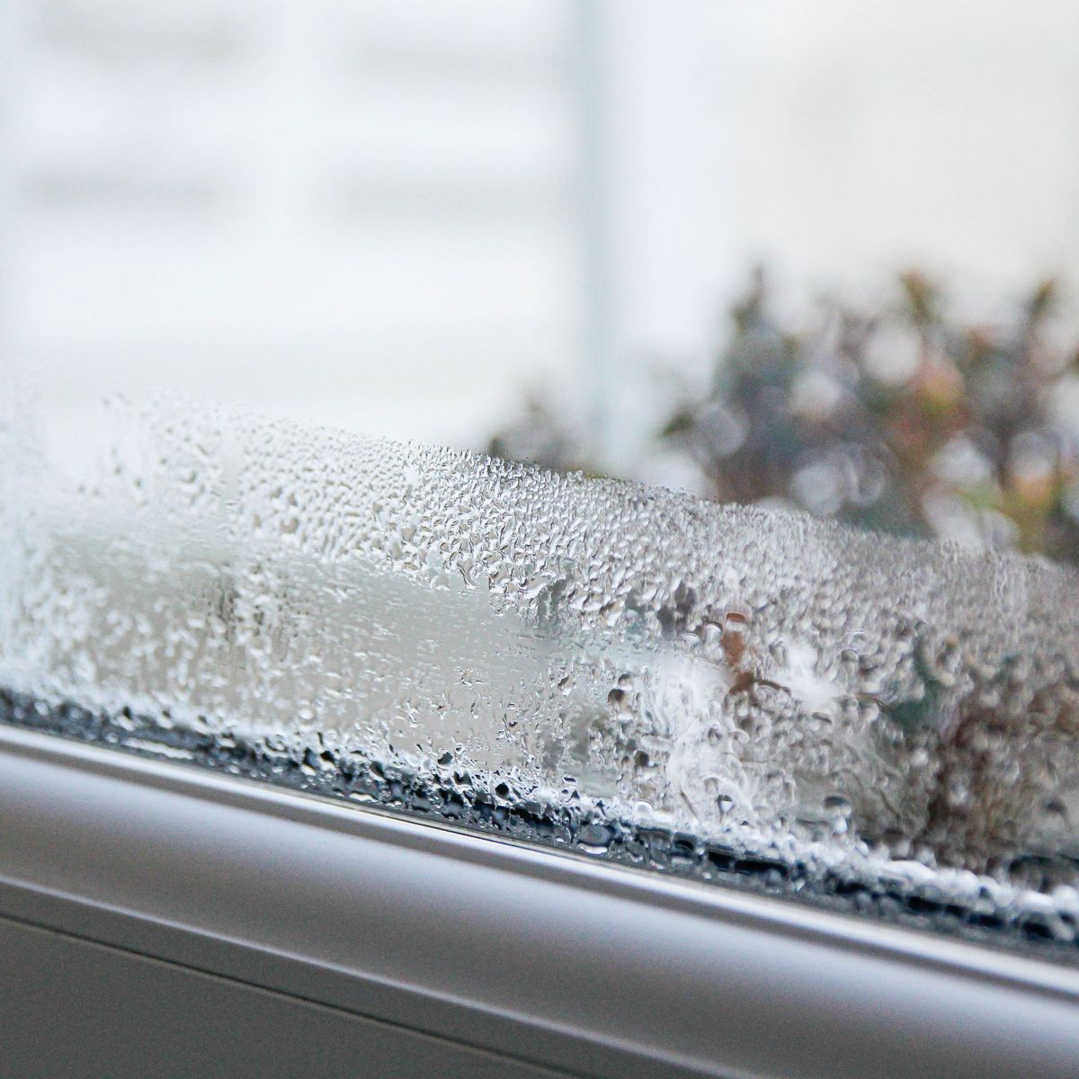 Comment arrêter la condensation sur les fenêtres à double vitrage en hiver 