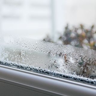 condensation on window