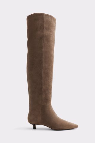 Aldo Muttsee Knee-High Boot