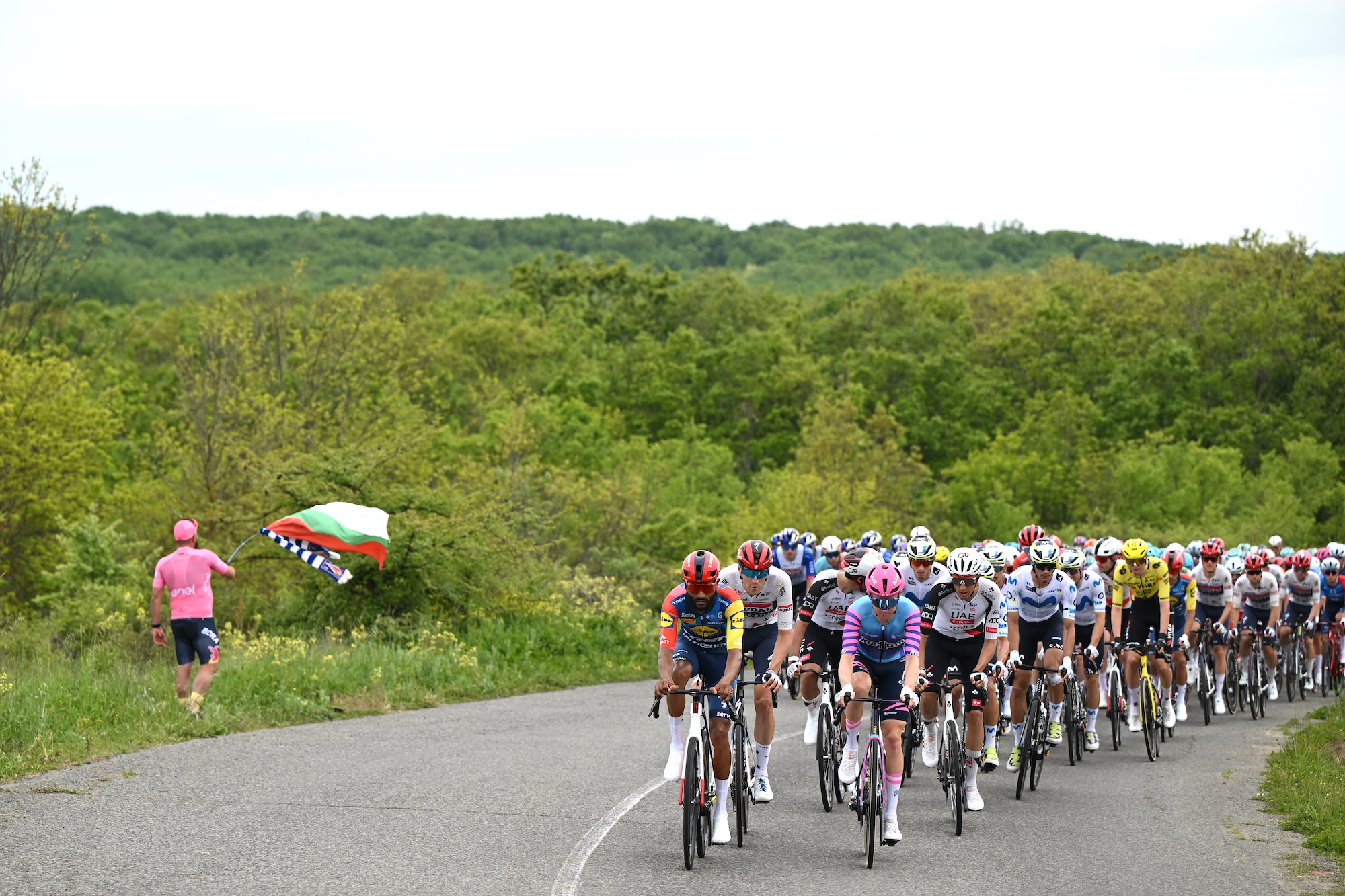 The peloton riding past a fan wearing a pink shirt along a forested road