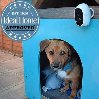 Ezviz C3A smart security camera fixed to a blue dog kennel with a dog peering out and Ideal Home approved logo.