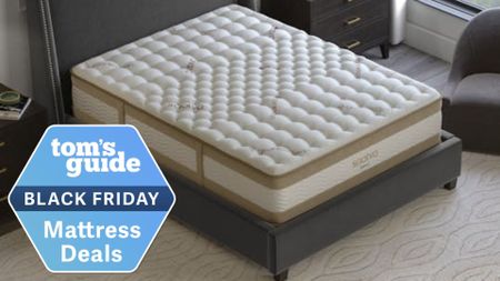 The Saatva RX mattress on a luxury grey fabric bedframe with a Black Friday sales label overlaid on the bottom left