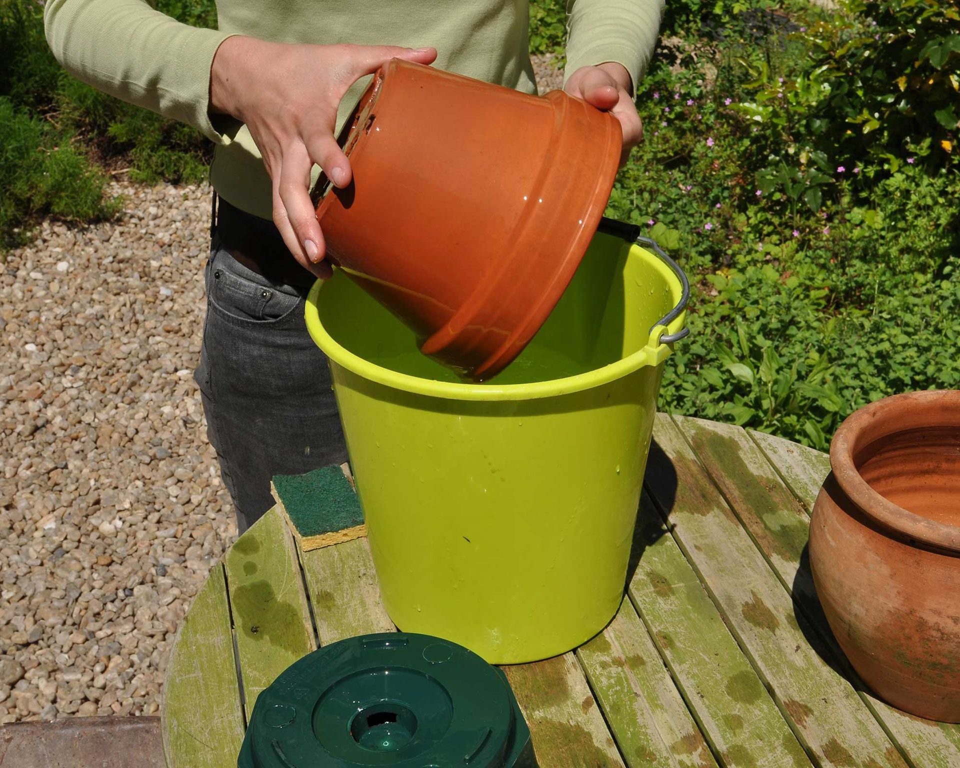 How to clean terracotta pots give your planters a spruce Gardeningetc