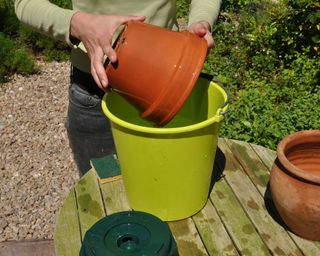 cleaning terracotta pot