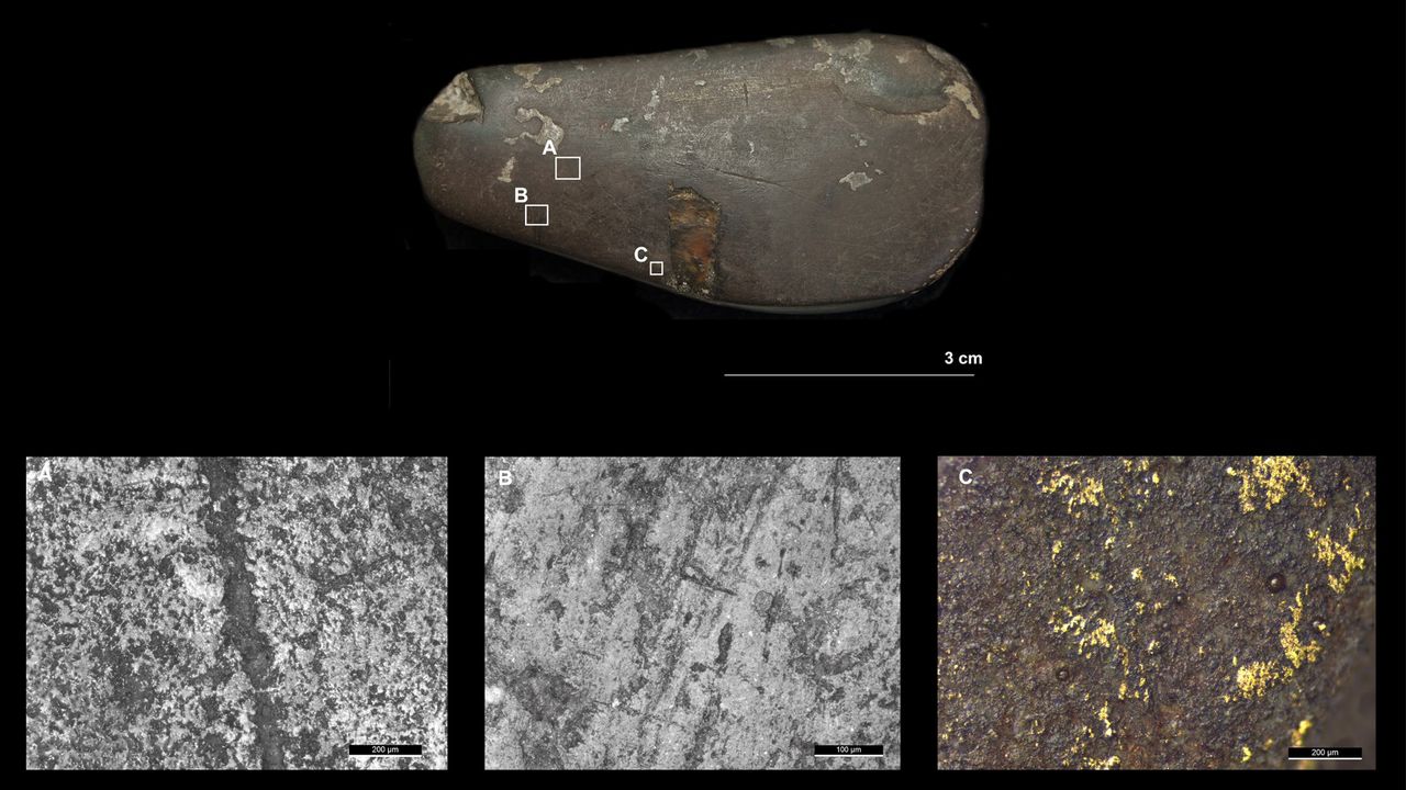Stone tools from 1801 excavation.