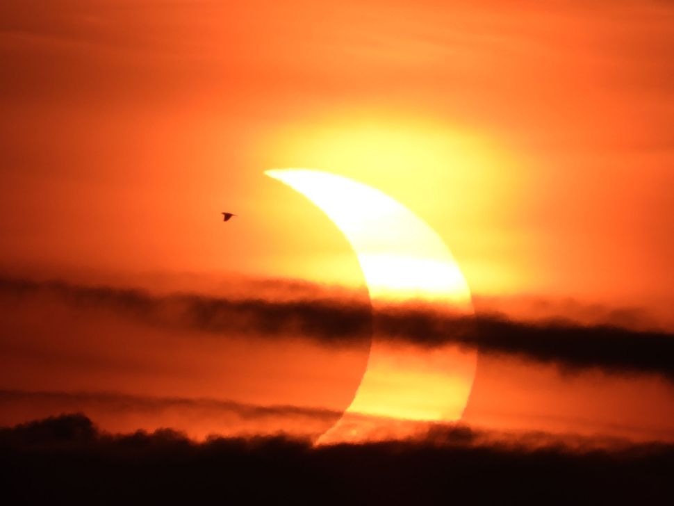 'Ring of fire' solar eclipse of 2021 thrills stargazers with sunrise ...