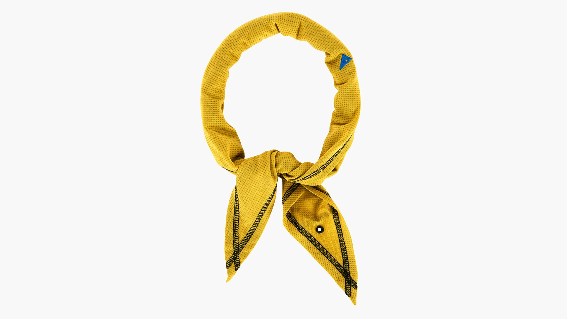 Klattermusen Allvis Scarf