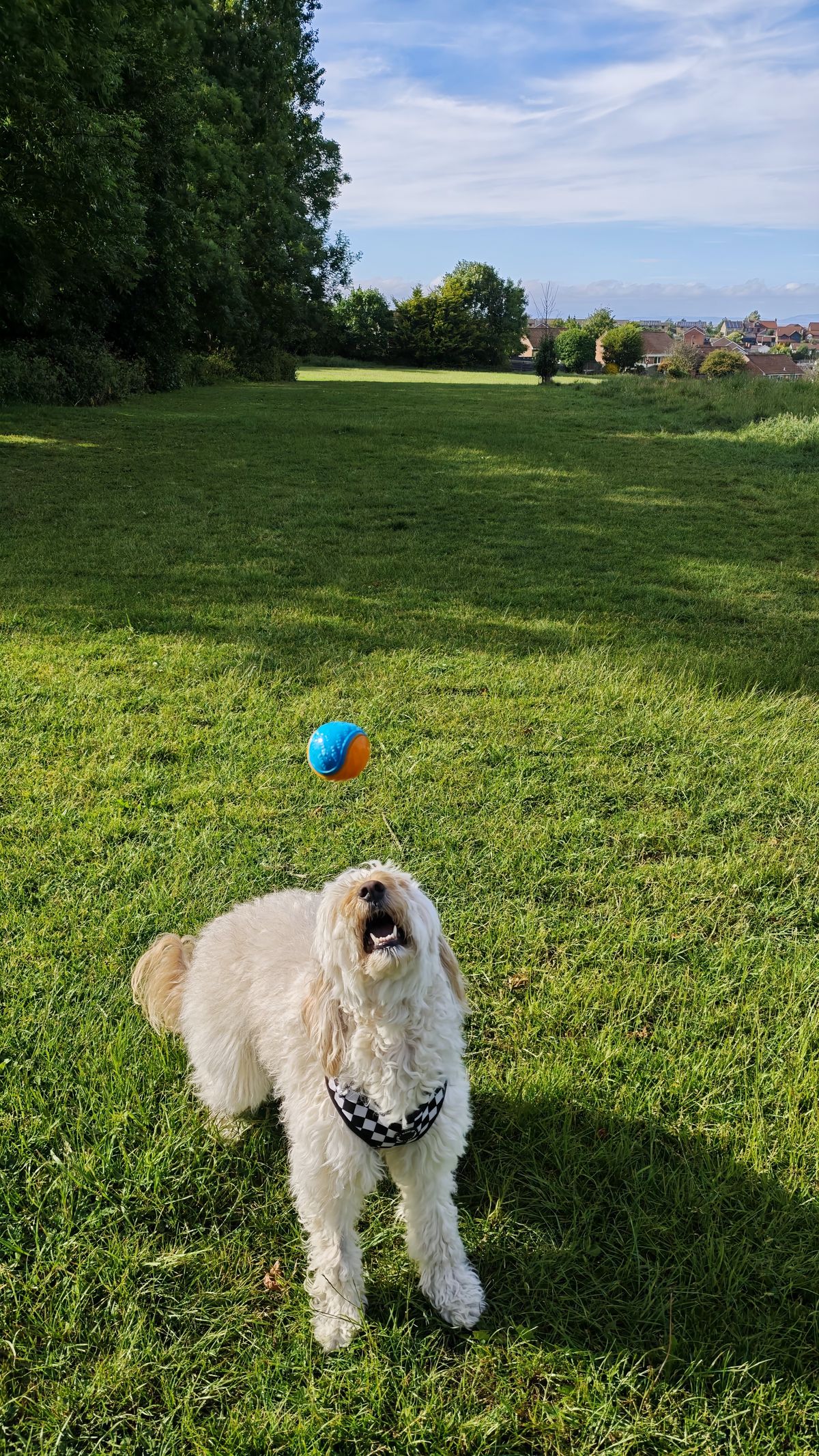 Poco F7 Ultra review sample images