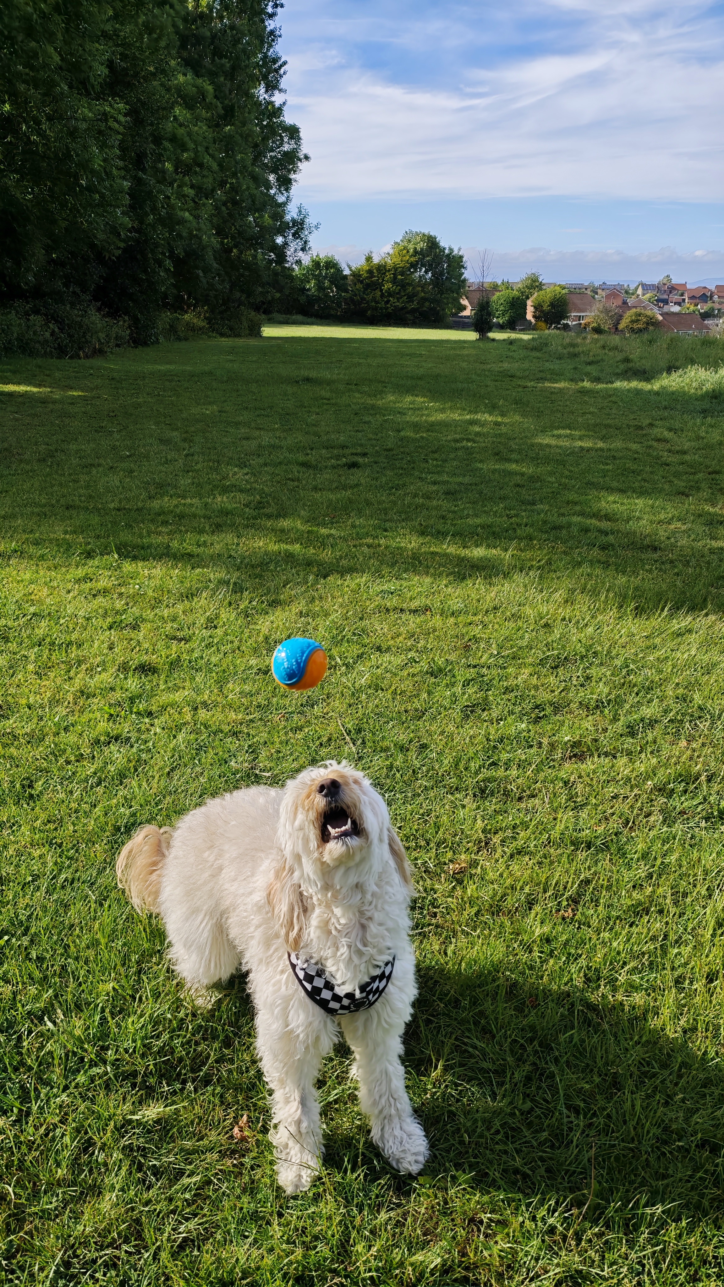 Poco F7 Ultra review sample images