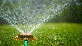 garden sprinkler being used to keep lawn healthy while on holiday