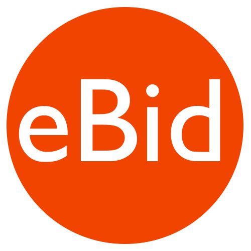 eBid Review Pros, Cons and Verdict Top Ten Reviews