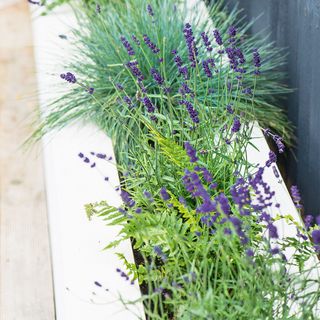 sunken garden makeover with raised bed