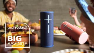 UE Megaboom 4 speakers in blue and pink being used at a picnic table.