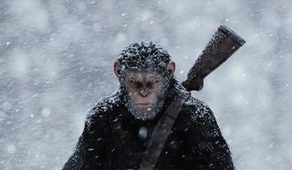 War for the Planet of the Apes Snowy Caesar