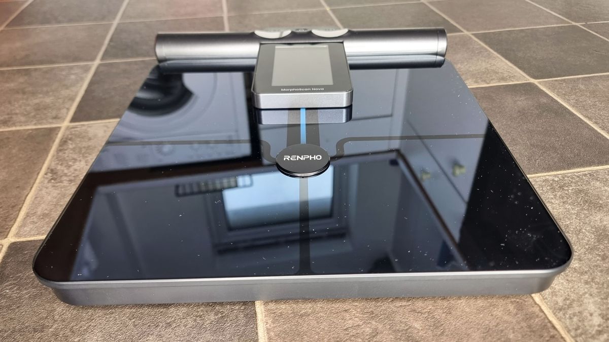 A picture of our reviewer's Renpho Morphoscan Nova smart scale