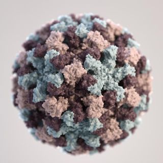 Norovirus virion
