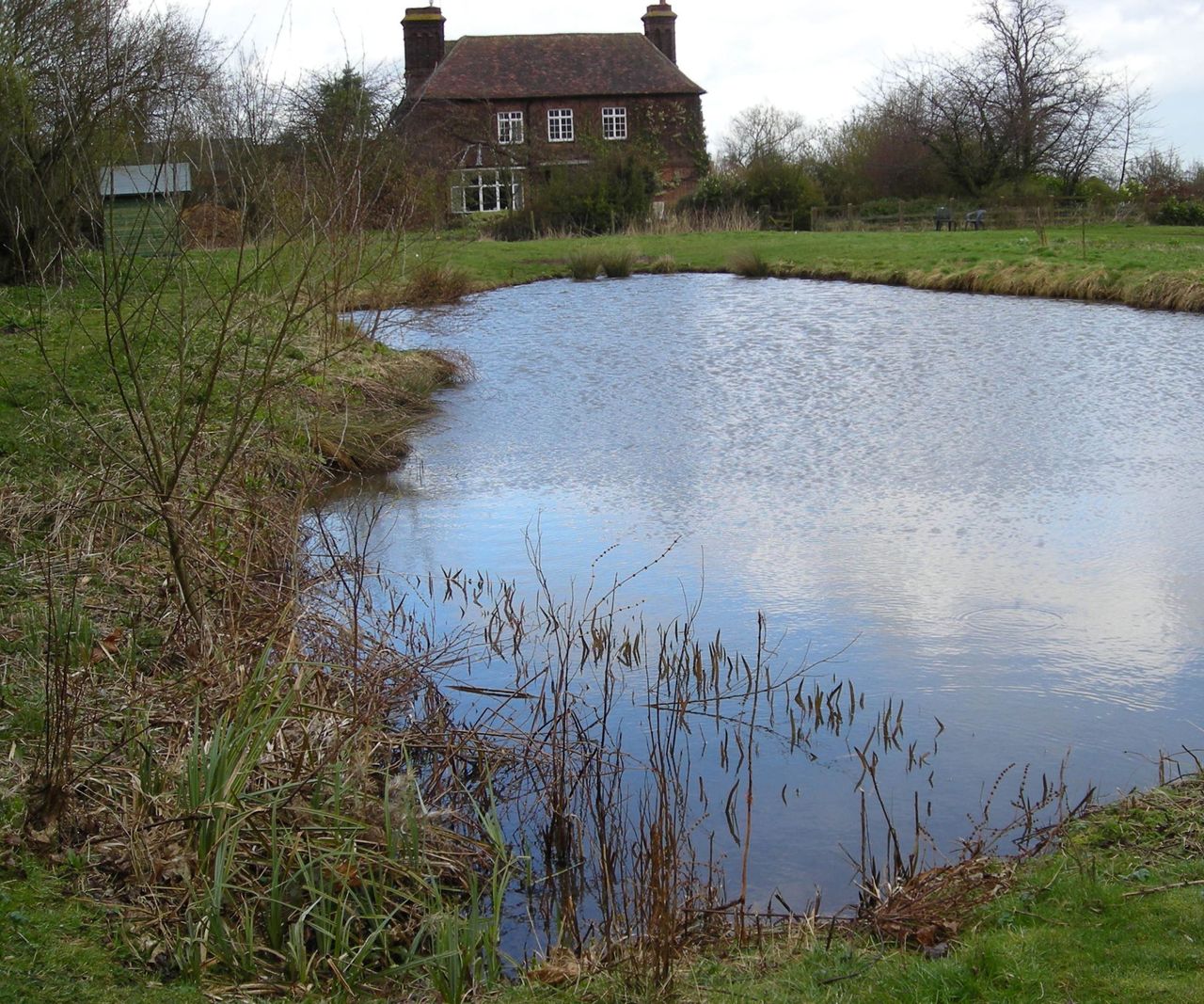 Traditional garden pond beside a country house, with wild margins and open grass, offering a raw and natural feel to the landscape.