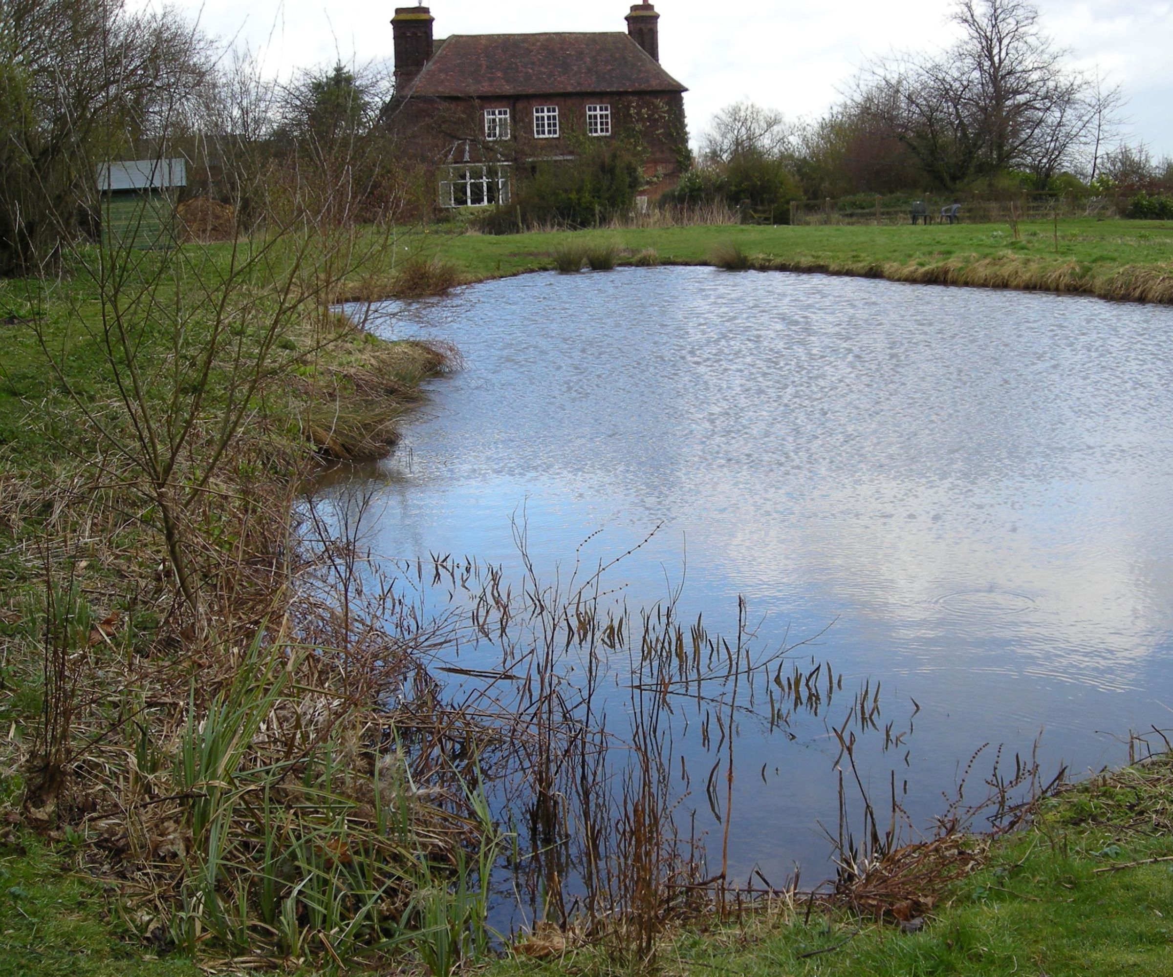 Traditional garden pond beside a country house, with wild margins and open grass, offering a raw and natural feel to the landscape.