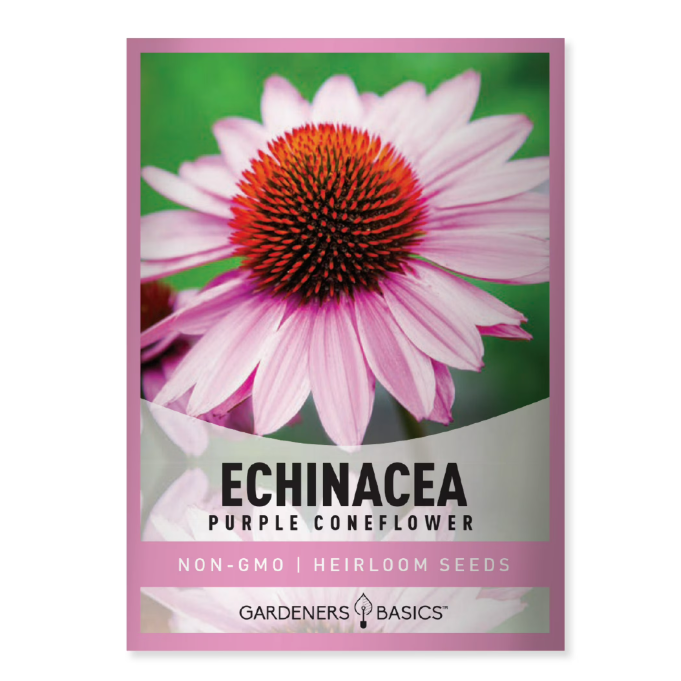 a packet of light purple coneflower seeds