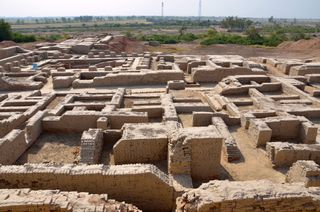Indus Valley human sacrifice.