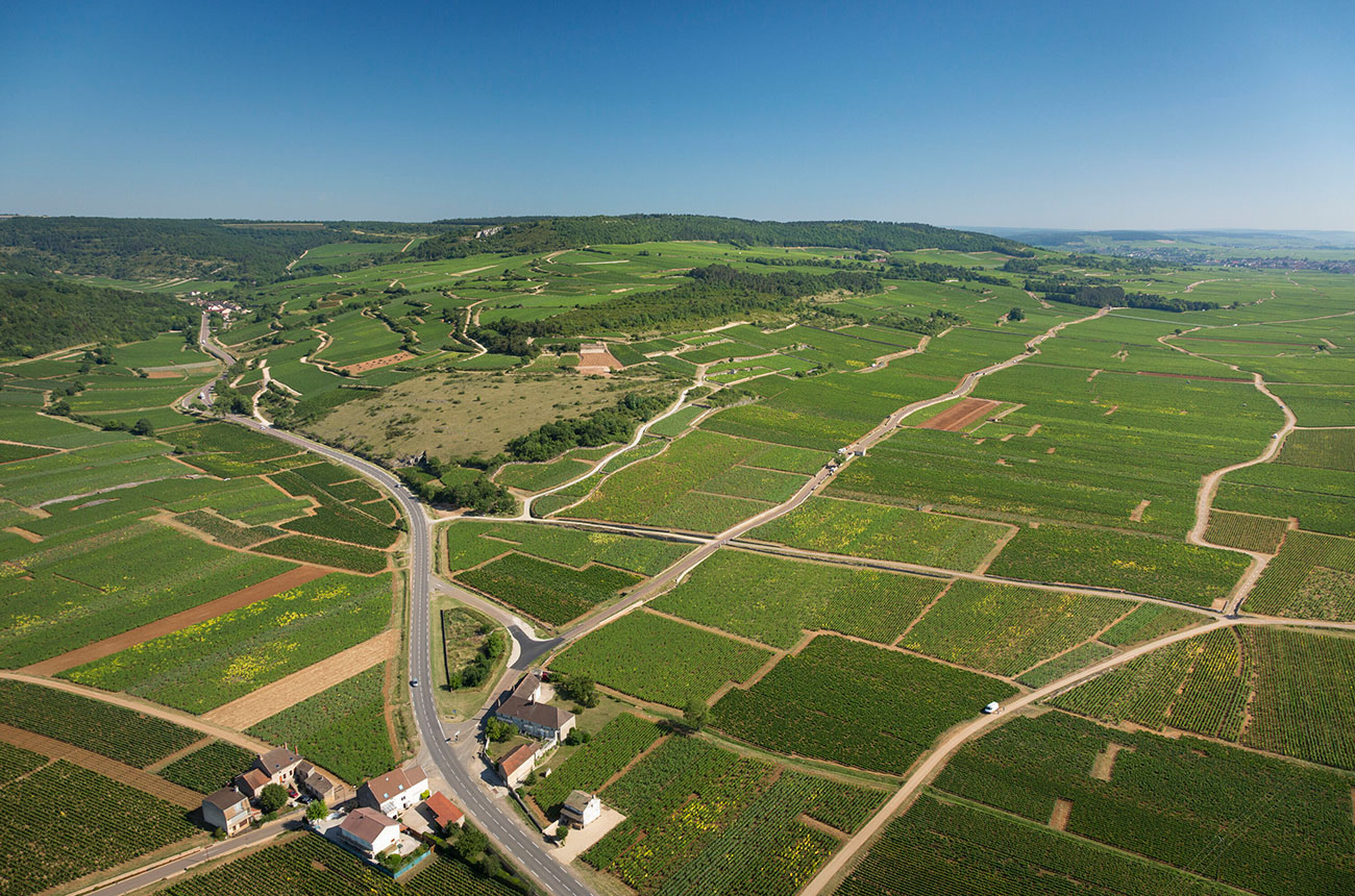 Puligny-Montrachet_01072015_8792-1.jpg