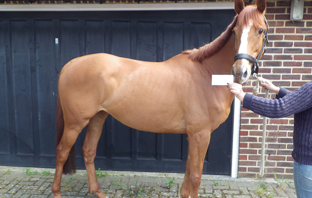 Ava following recovery