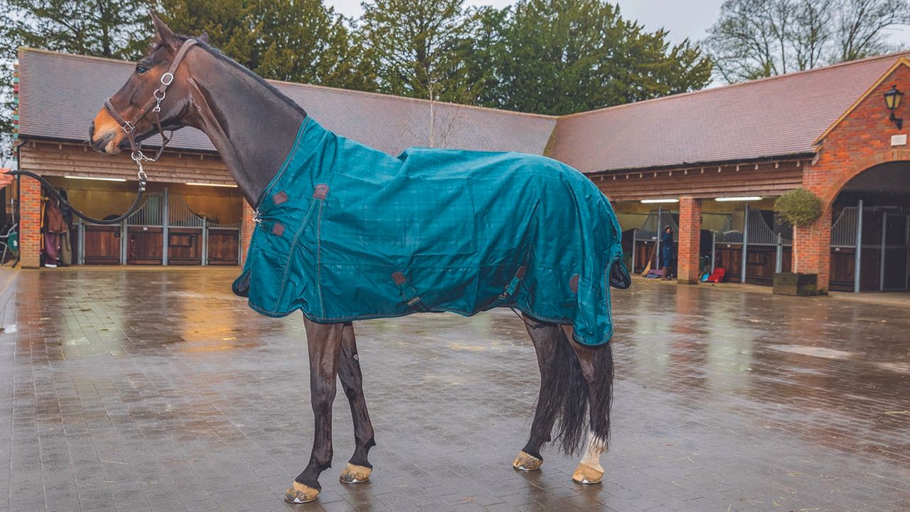 how to fit a horse rug