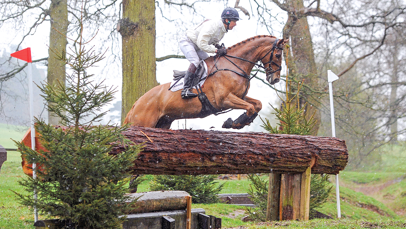 HAH301.ev_weston.harry_meade_red_kite_comm1use.jpg