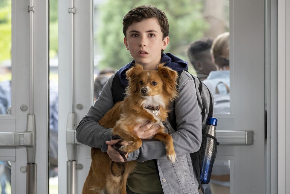 The best shows for 10 year olds to enjoy right now What to Watch