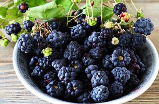 calories in fruit blackberries