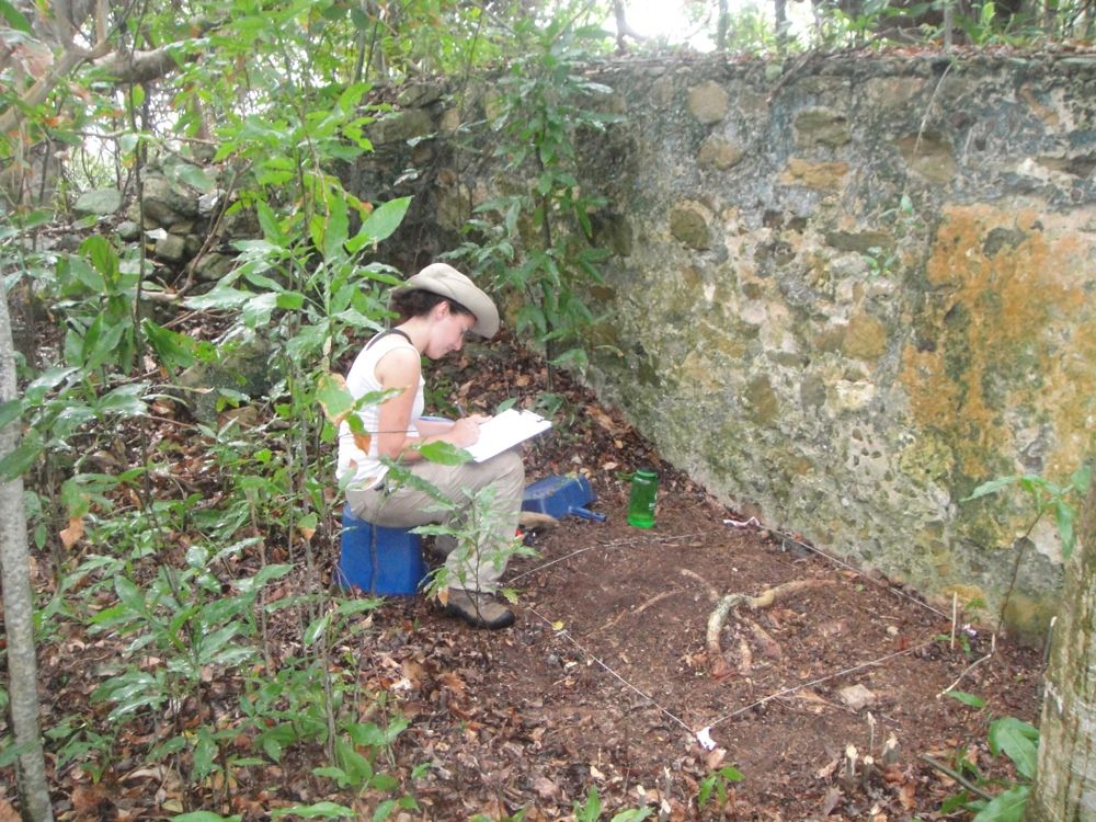 Archaeologist Rachel Cajigas records the top layers of an excavation unit in the British Virign Islands where a plantation house, and buried artifacts, have been discovered. 