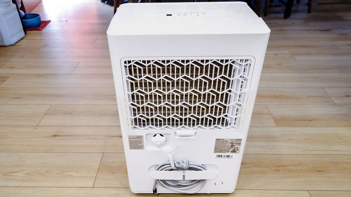 Amazon basics dehumidifier