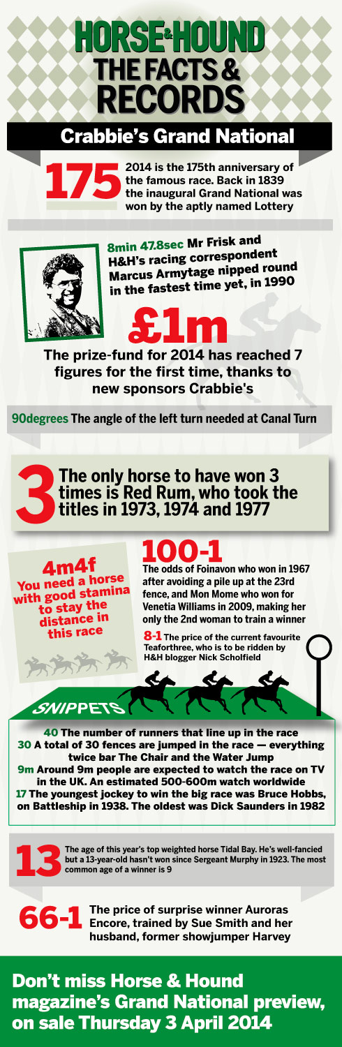 Grand-national-infographic.jpg