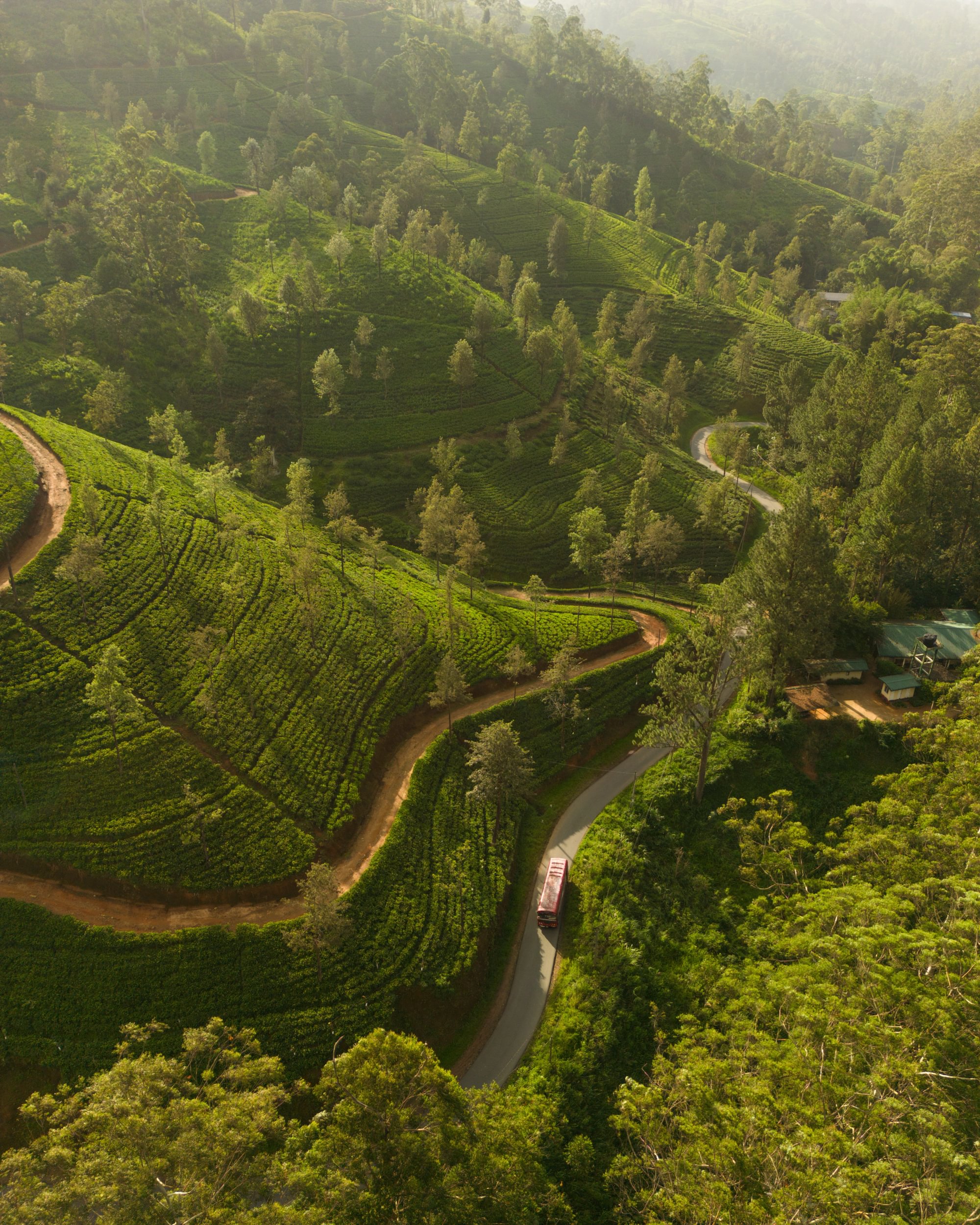 Walking trail in Sri Lanka