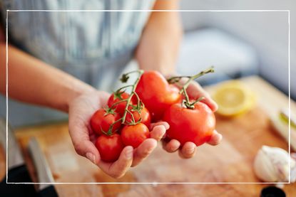 woman's hands holding numerous and different sized tomatoes in her hands over a wooden worktop