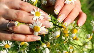 Realistic daisy nail art against grass background