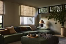 A cozy den with olive green walls