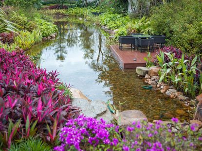 Pond Surrounded By Plants And Flowers