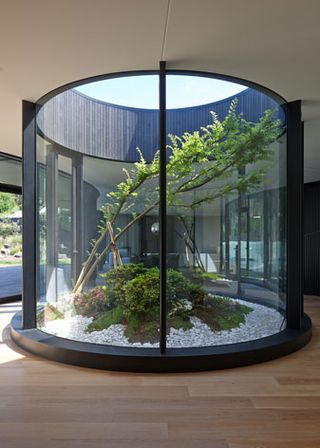 an indoor terrarium
