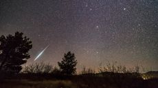 A single bright meteor from the Geminid meteor shower of December 2017, dropping toward the horizon in Ursa Major. Gemini itself and the radiant of the shower is at top centre. Leo is just rising at bottom centre. Procyon is at upper right.