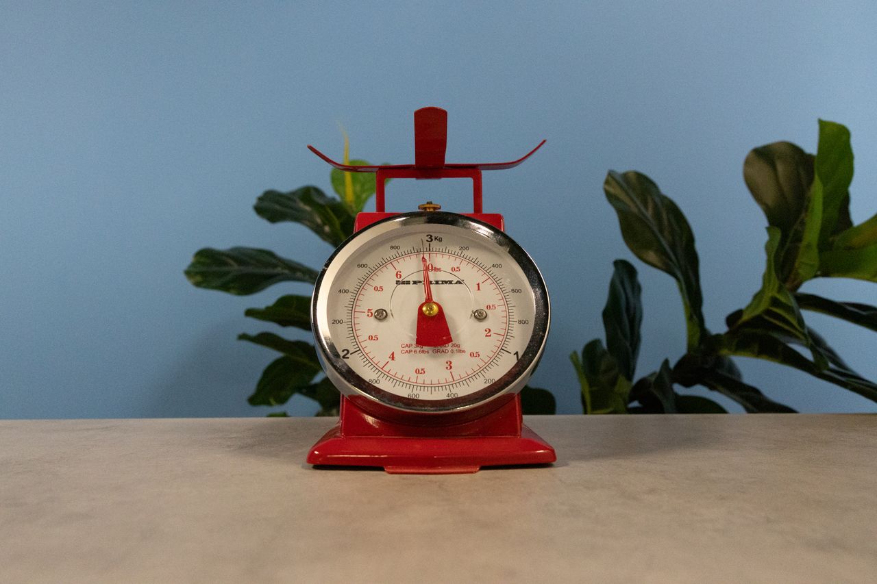 A photo of scales taken on a Canon EOS R6 Mark III