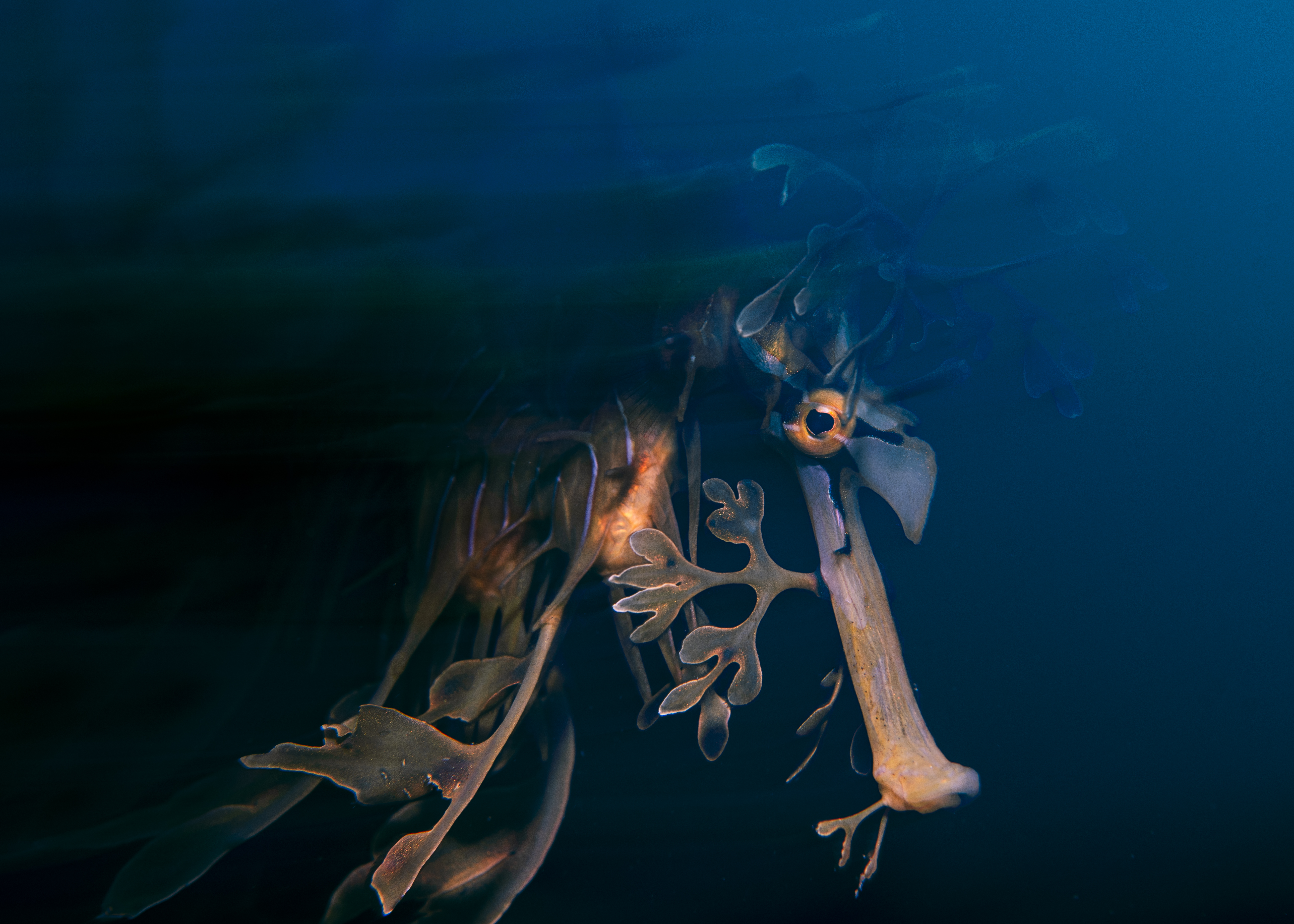 A winning image from the Environmental Photography Awards