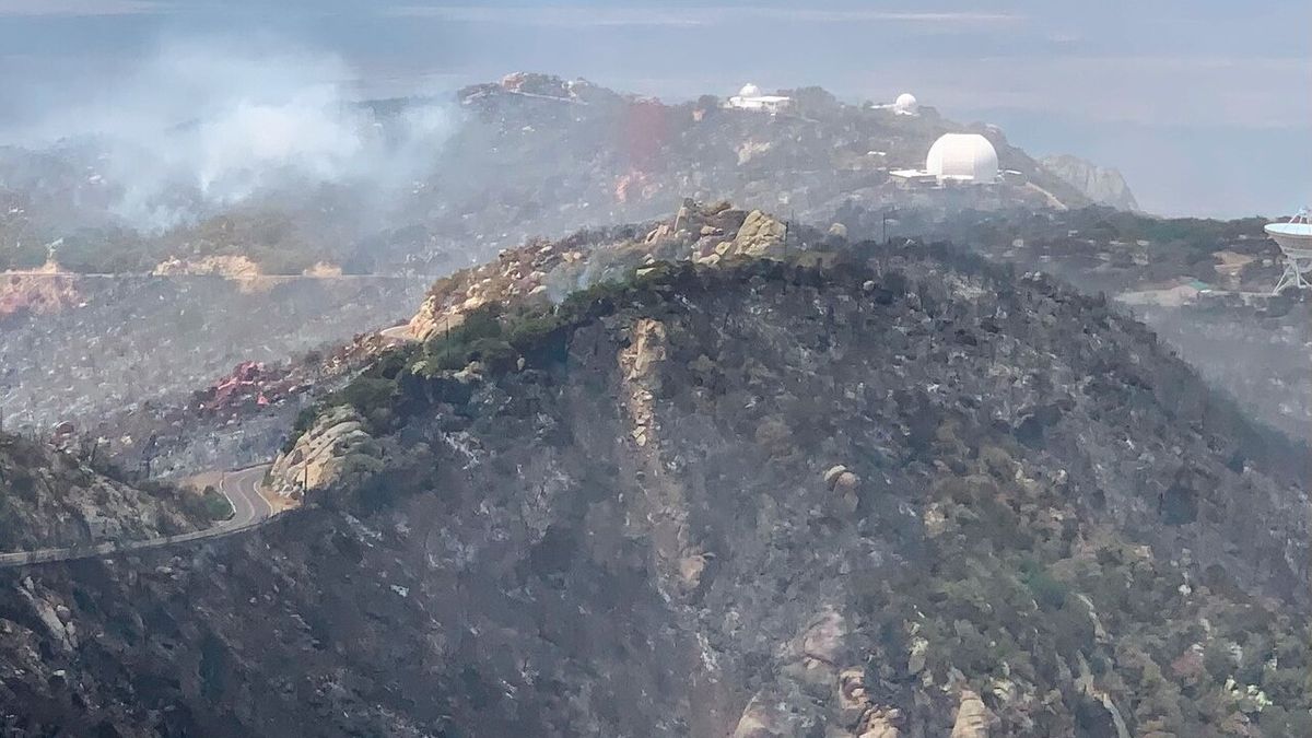 A view of Kitt Peak National Observatory's southwest ridge, where damage from the Contreras Fire is worst, as seen on June 18, 2022.